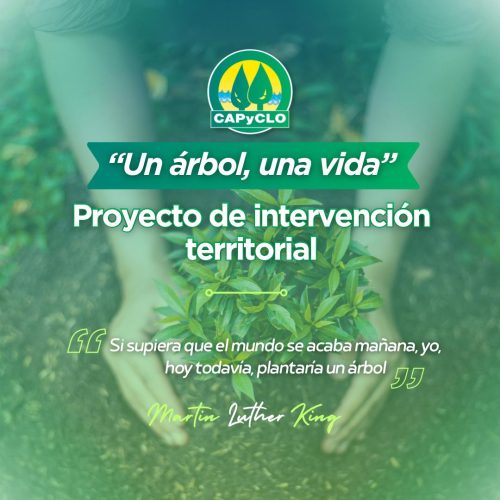 Un árbol, una vida